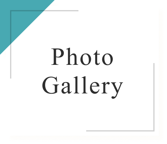 Photo Gallery